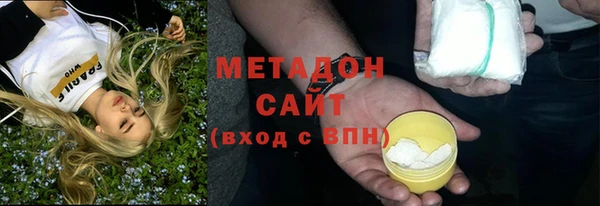 хмурый Тайга