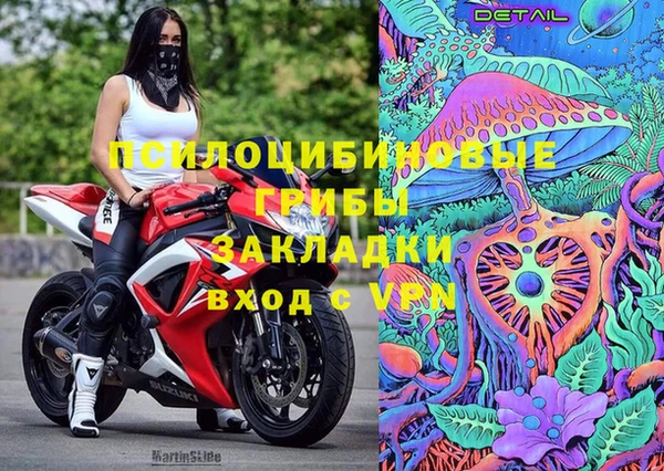 дмт Богородск