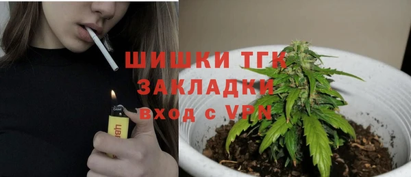 дмт Богородск