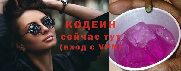 дмт Богородск
