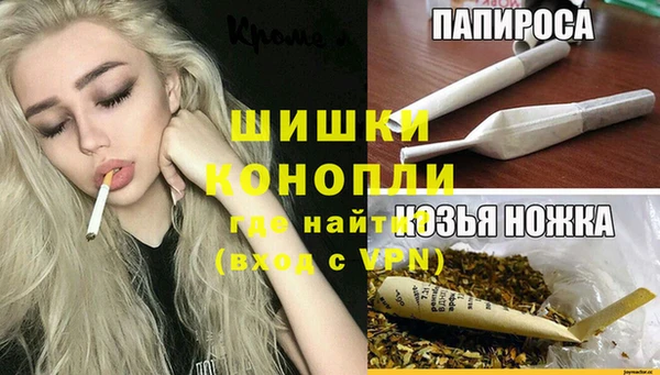 бошки Богданович
