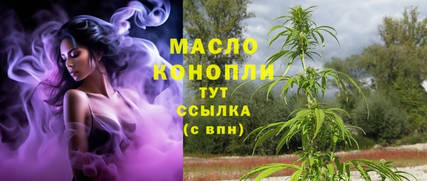 дмт Богородск