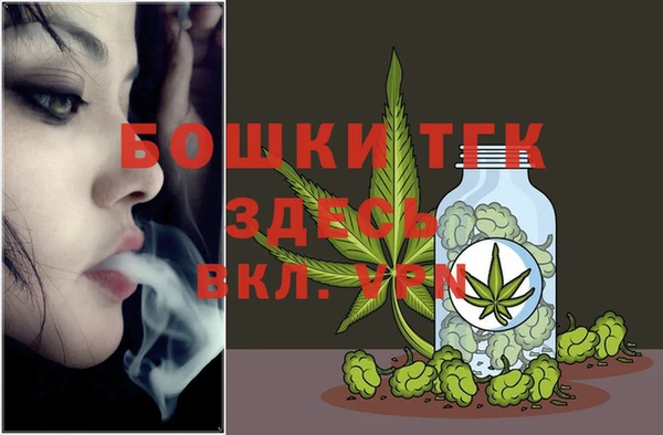 гашик Богородицк