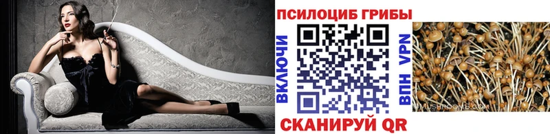 Галлюциногенные грибы Psilocybe  Коммунар 